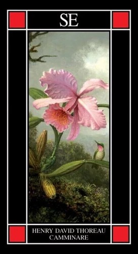 Camminare henry david - camminare,